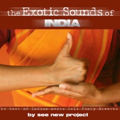 the exotic sounds of india